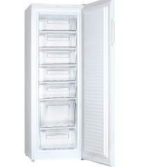 Statesman TF170LWE Freezer 170cm